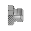 Заглушка BSP(ш) 1/8" sv60°