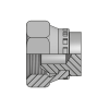Заглушка BSP(г) 1.1/4" sv60° S50