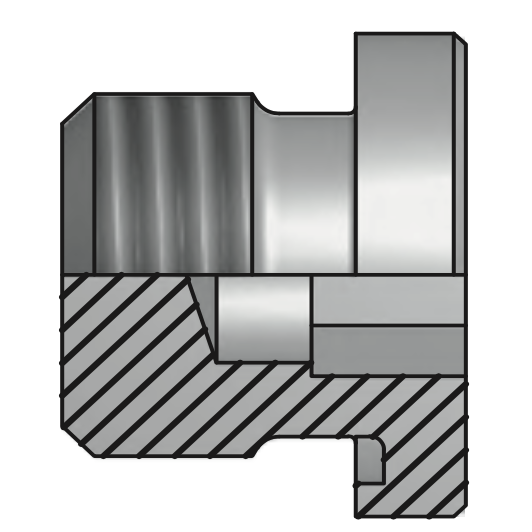 Заглушка BSPP 1/2"(ш) SW=10 Form E