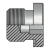 Заглушка Metric 12x1.5(ш) SW=6 FormE
