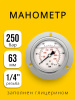 Манометр 63мм 0-250 бар  G1/4 (сзади, панельный монтаж)